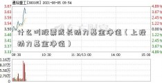 什么叫股票成长动力基金净值（上投动力基金净值）